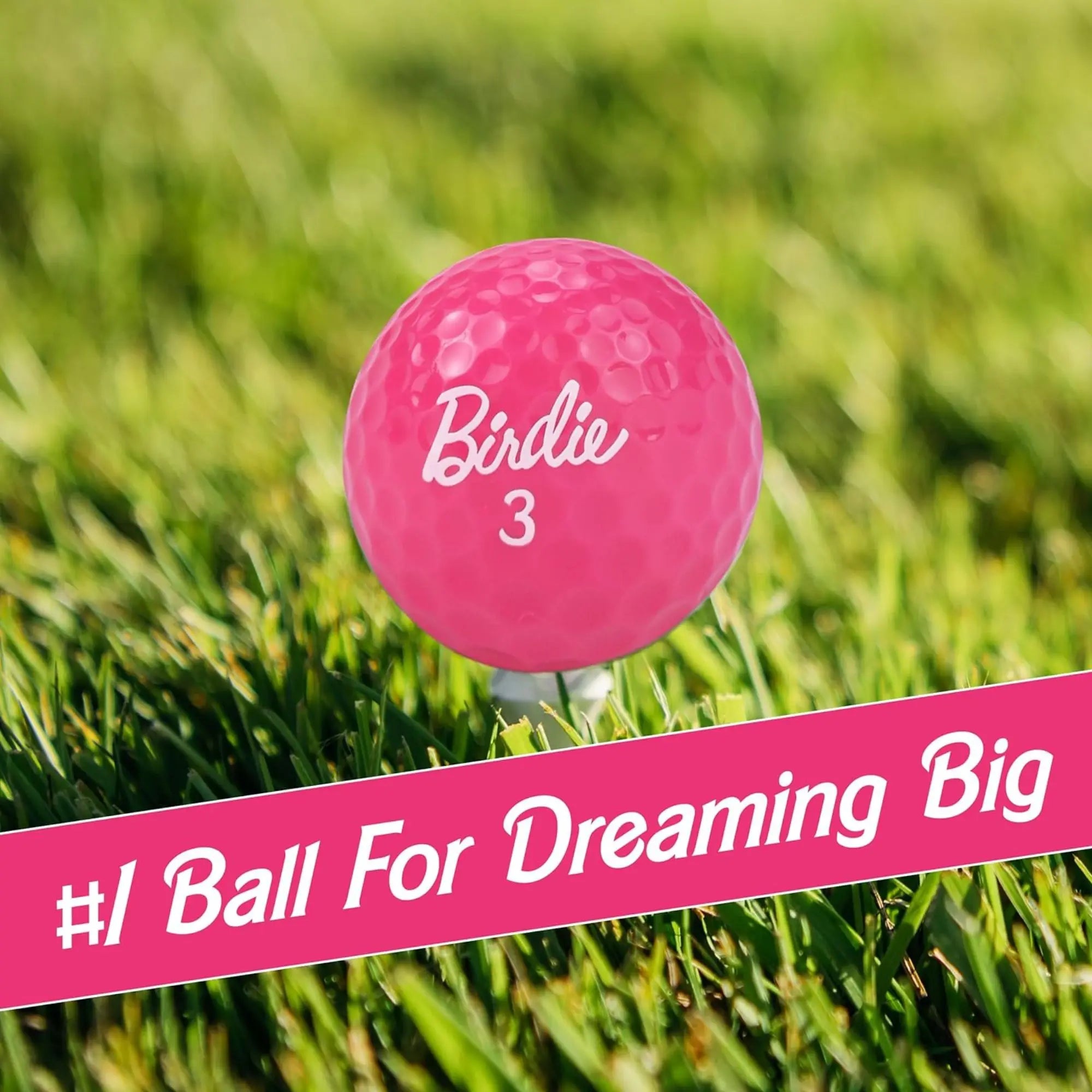 3 count Funny Golf Balls - Birdie Pink Golf Balls - Funny Golf Gift for Women (Sleeve of 3, Novelty) - The #1 Ball for Dreaming