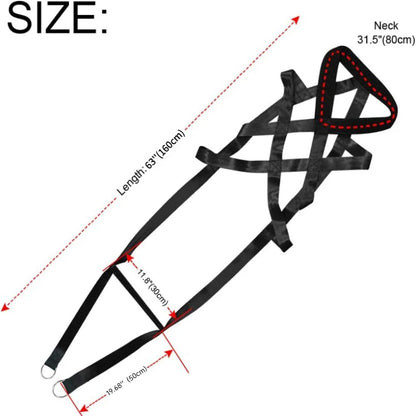 Dog pull training leash, dog sled safety belt for large working dogs, and dog sled safety belt for behavior training.