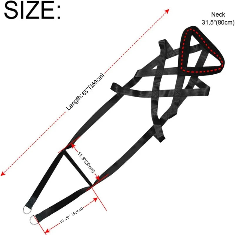 Dog pull training leash, dog sled safety belt for large working dogs, and dog sled safety belt for behavior training.