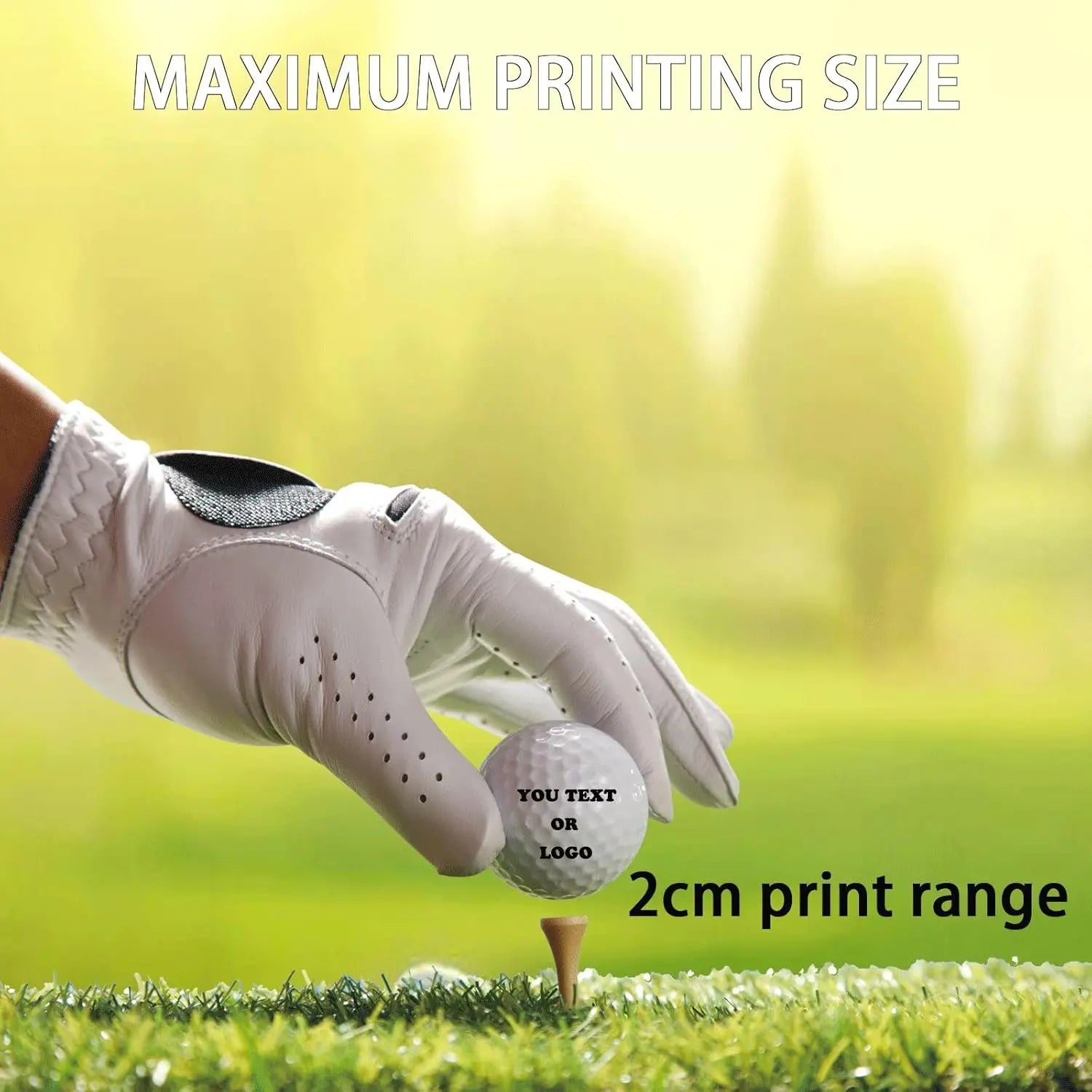 Personalized Golf Balls,Custom Golf Balls for Men,Customized Text or Logo Image Upload Golf Balls Printed - Gifts for Men