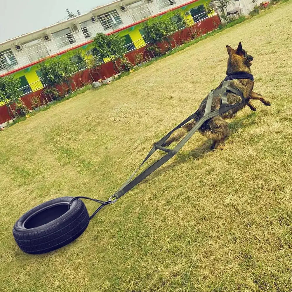 Dog pull training leash, dog sled safety belt for large working dogs, and dog sled safety belt for behavior training.