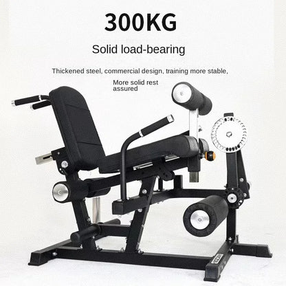 Multi Functional Gym Equipment Leg Extension Curling Machine Waist Abdominal Bench Flexion Training Equipment