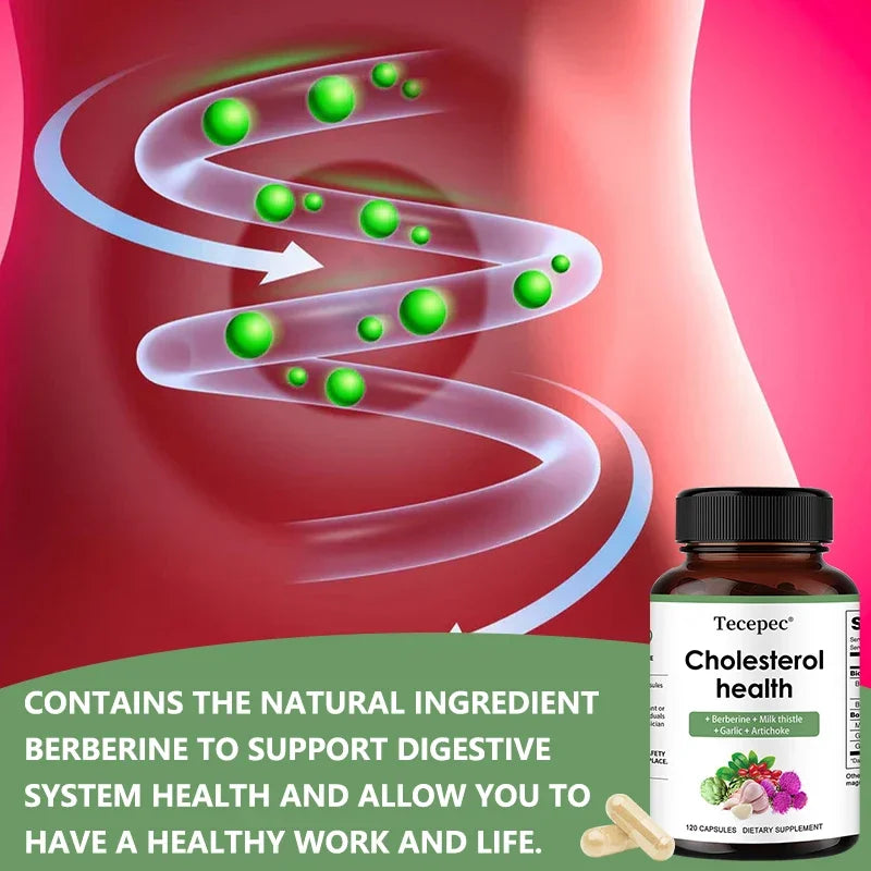 Cholesterol Supplements - Improves Blood Circulation, Supports Cardiovascular Health, and Strengthens The Immune System