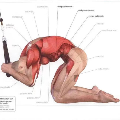 Tricep Rope Cable Attachment – Push/Pull Gym Handle
