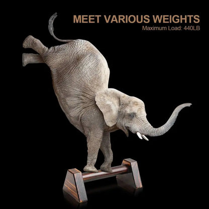 25cm/50cm Push Up Stand with 1 Pair of Wooden Push Up Poles and Anti Slip Base for Home Exercise Equipment Strength Training