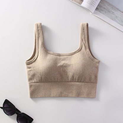 Ribbed Solid Sports Bra Medium Support Square Neck Seamless Knit Padded Push Up Fitness Bra Women's Activewear Summer Outerwear