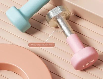 Yoga Flat Head Scrub Impregnated Plastic Dumbbells For Men And Women Home Exercise Sports Equipment Solid Cast Iron Dumbbells